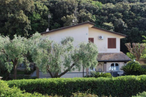 B&B Cavalieri